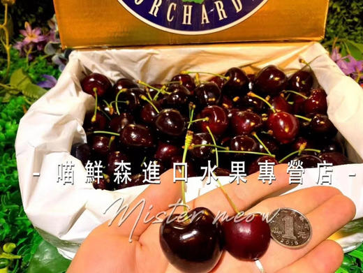 【次日达】澳洲塔斯马尼亚hamsen庄园车厘子 商品图5