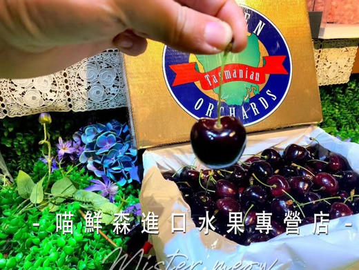 【次日达】澳洲塔斯马尼亚hamsen庄园车厘子 商品图4