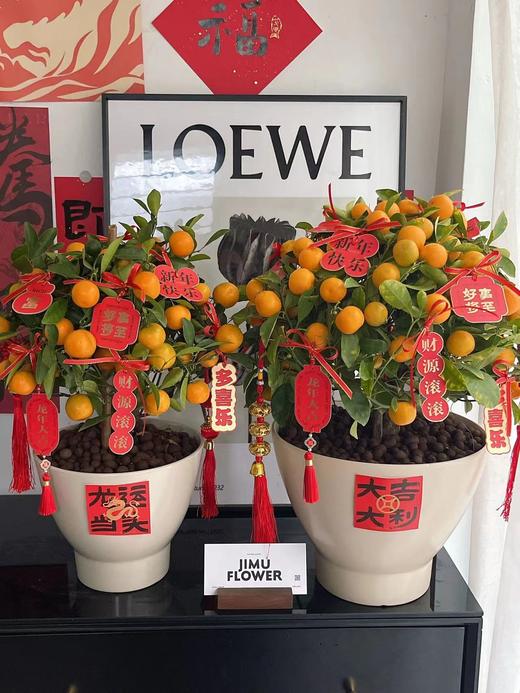 【新年卡片贴纸100小张】龙粉卡20张+龙运红卡20张+双面挂卡20张+贴纸5张+挂绳 商品图2