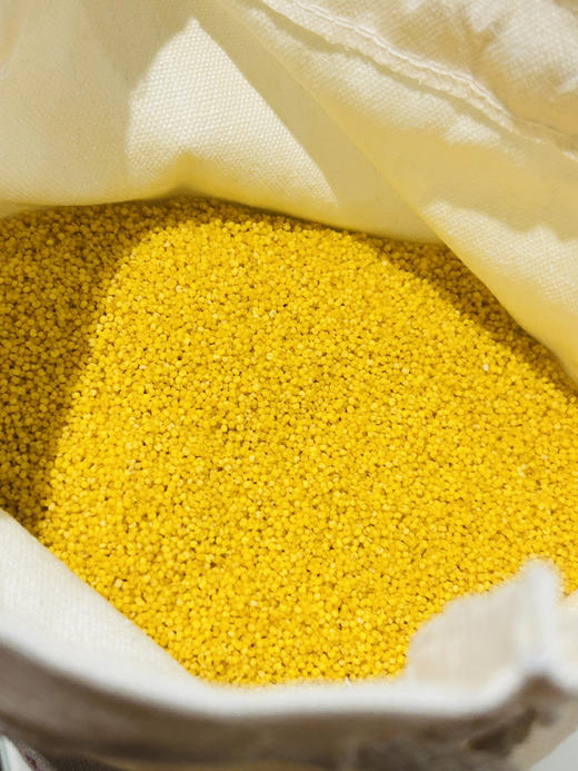 周三配送！内蒙古赤峰天山有机小米！天然独特的地理环境决定了小米品质颗粒大、口感好、金黄馨香
天冷的时候，熬上一锅，米油泛着油润的光泽舀一勺，入口浓香绵绸整个胃都觉得特别舒服 5斤/袋 商品图1