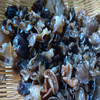 云南怒江高原黑木耳 100g 商品缩略图1