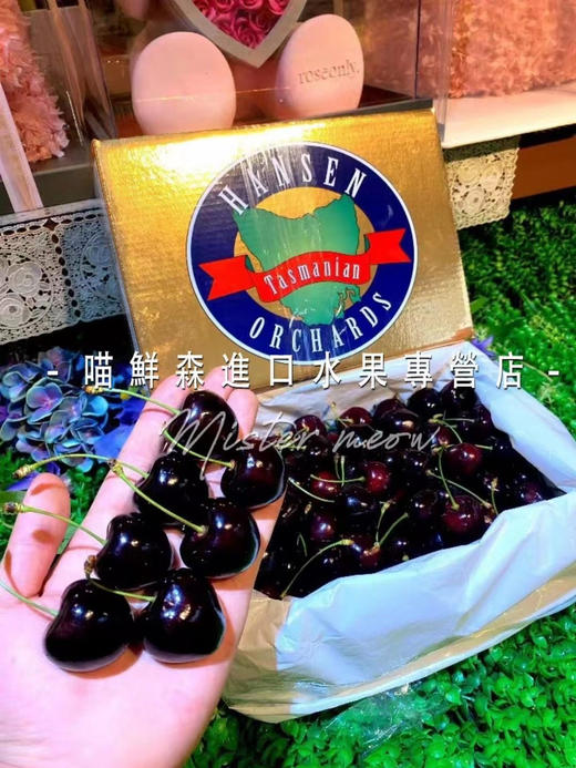 【次日达】澳洲塔斯马尼亚hamsen庄园车厘子 商品图0