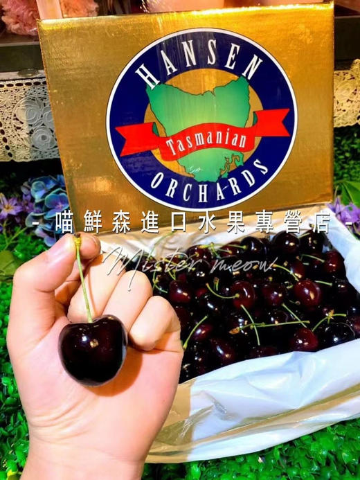 【次日达】澳洲塔斯马尼亚hamsen庄园车厘子 商品图3