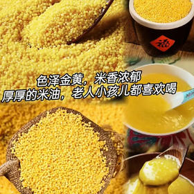 周三配送！内蒙古赤峰天山有机小米！天然独特的地理环境决定了小米品质颗粒大、口感好、金黄馨香
天冷的时候，熬上一锅，米油泛着油润的光泽舀一勺，入口浓香绵绸整个胃都觉得特别舒服 5斤/袋