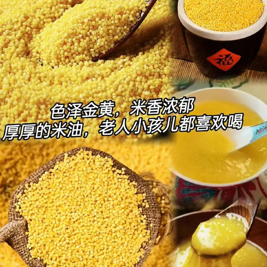 周三配送！内蒙古赤峰天山有机小米！天然独特的地理环境决定了小米品质颗粒大、口感好、金黄馨香
天冷的时候，熬上一锅，米油泛着油润的光泽舀一勺，入口浓香绵绸整个胃都觉得特别舒服 5斤/袋 商品图0