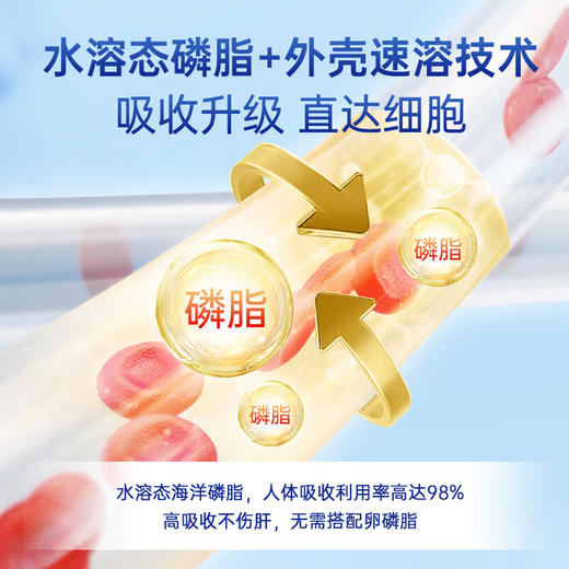 VIK纯南极磷虾油60粒56%海洋磷脂金标800深海鱼油升级高纯度强吸收Omega-3DHAepa虾青素中老年成人易吞服送礼 商品图8