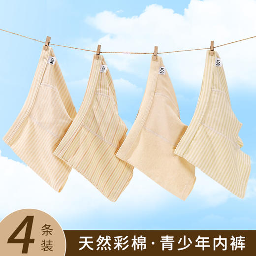 【4条装】璐童梦青少年内裤天然彩纱棉男童平角裤学生初中生高中生大童纯棉四角裤15-155斤 商品图6