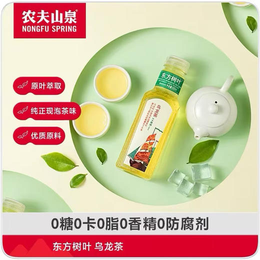 农夫山泉东方树叶乌龙茶调味茶饮料500ml 商品图0