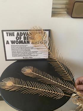 单枝凤尾50支（单枝低价0.7）