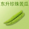 【超市】东升苦瓜 商品缩略图0