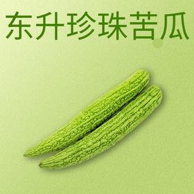 【超市】东升苦瓜