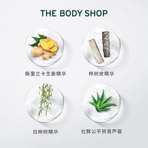 英国美体小铺 生姜头皮护理护发素 400ml 商品图1