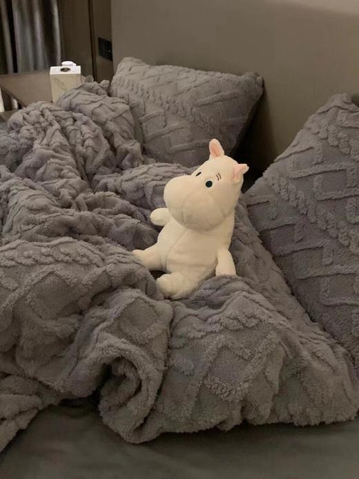 「塔芙绒四件套！数色可选」冬季双面被套四件套 保暖加绒四件套床上用品 商品图2