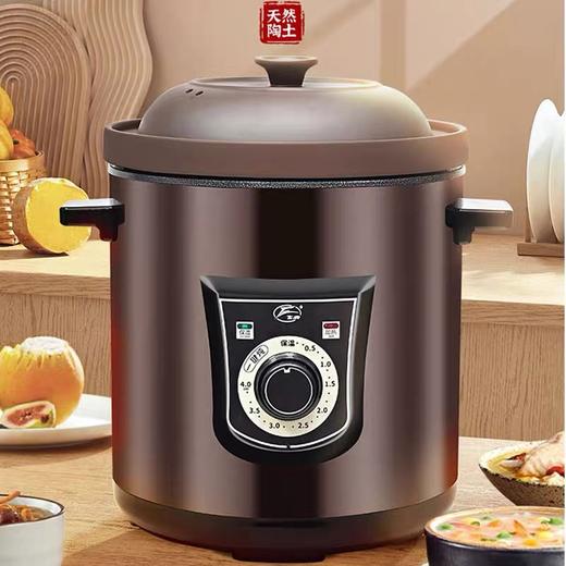 飞鹿电炖锅可定时【国sir严选】 商品图0