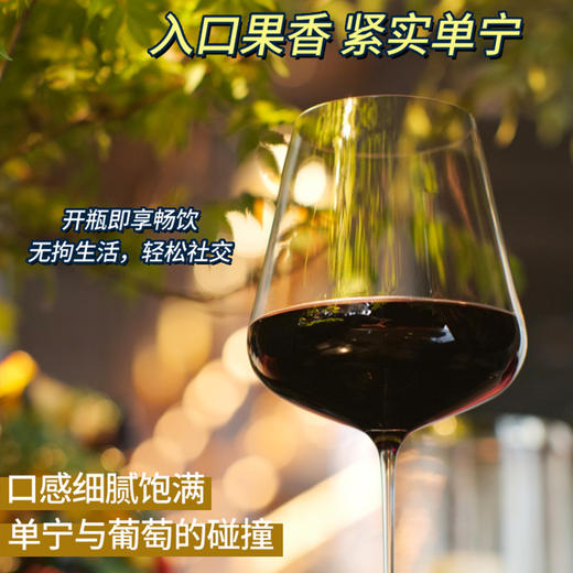 玛丽露易丝“歪脖子”干红葡萄酒 | 来自法国知名朗格多克产区，口感饱满、果香浓郁 商品图2