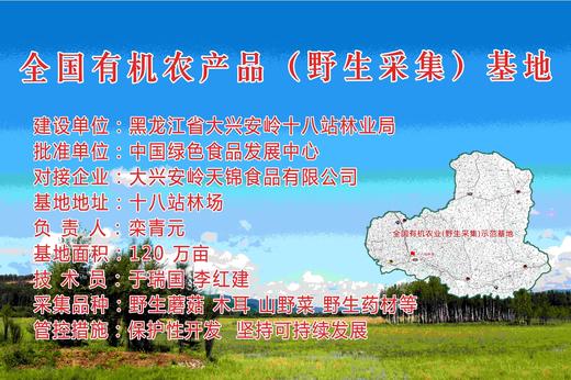 有机菌菇臻品礼盒 商品图1