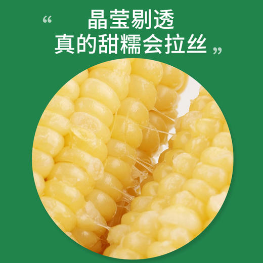 【东北外运】碧江雪玉 东北白糯玉米 黑土地大苞米 200g*10袋 商品图3