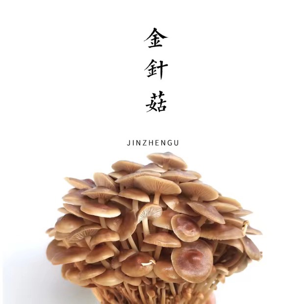 合作 | 金针菇 200g