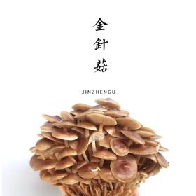 合作 | 金针菇 200g