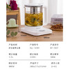 山水（SANSUI）多功能花茶养生壶(配滤网)1.5L KT-1837 商品缩略图7