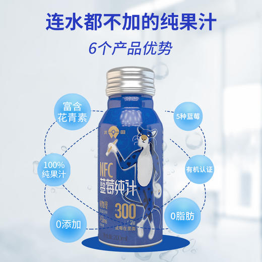 沃田NFC蓝莓纯汁200ml*10 商品图2