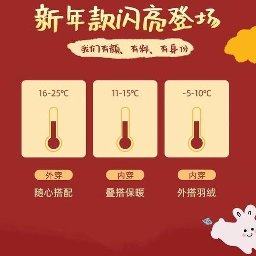【新年穿搭❗️福气满满年服卫衣】超暖加绒卫衣，马年元素点缀，过年身穿惹眼❗️宝宝冬装儿童过年上衣冬季女童拜年服潮 商品图4