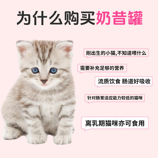 呼噜猫幼猫奶昔罐85g*24罐 易舔食易消化 山羊奶配方提升免疫 助成长 奶猫幼猫可食 线下专供 商品图3