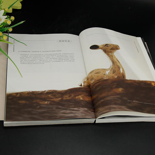 大美中国:非遗保护创意创新案例集 商品图3