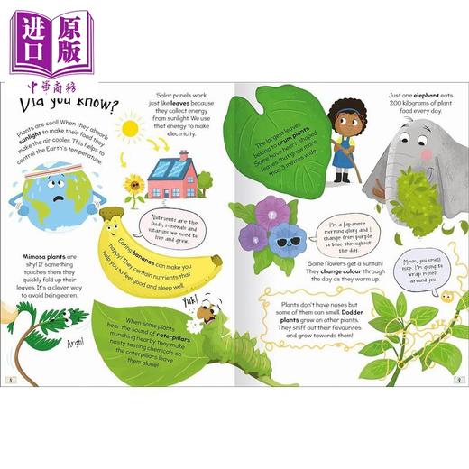 【中商原版】好奇的答案 植物 Curious Questions & Answers about The Plants 英文原版 儿童科普绘本知识百科自然科学读物 商品图3