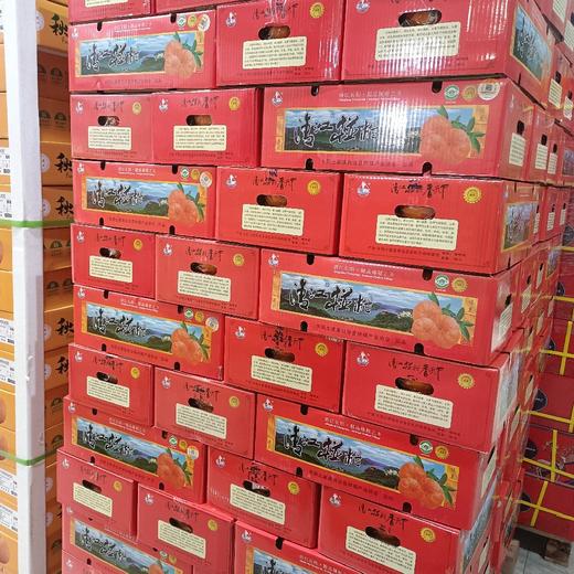 清江椪柑荣获口感优等产地货源特级超特级椪柑 商品图0