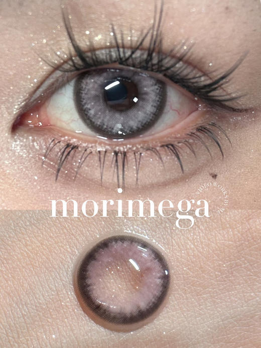 『日抛中直径』MoriMega-理想蔷薇14.2mm【日抛0-800度 无525/575】 商品图1