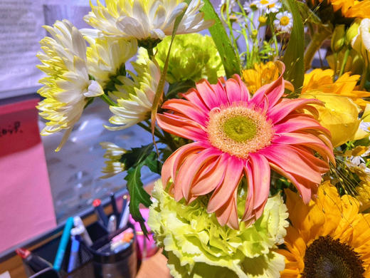 精选瓶花•【未来可期】向日葵森系〔下单新鲜搭配〕不加花瓶 商品图5