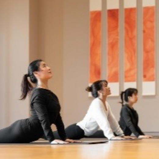 006 流动的艺术-身心伸展 婵柔焕活脊柱力量 商品图1