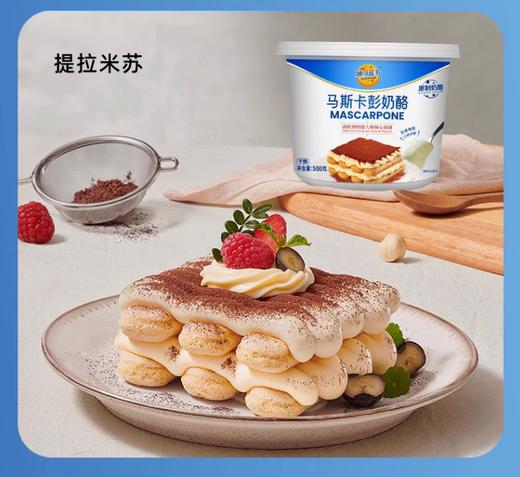 500g 妙可蓝多 马斯卡彭奶酪 提拉米苏原料原制奶酪 商品图2