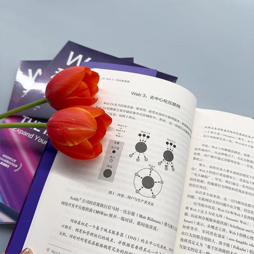 Web3 科技新趋势 克里斯·达菲 著 经济 商品图3