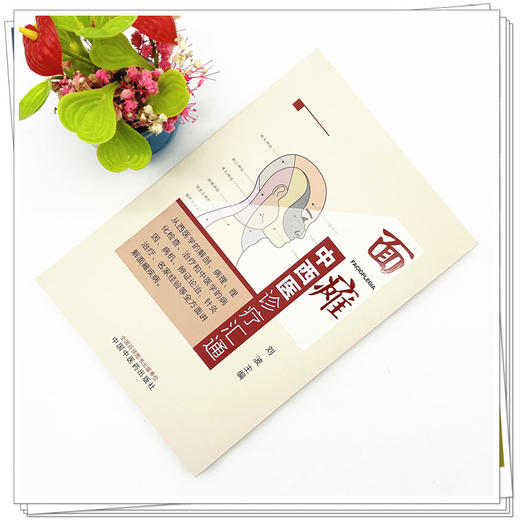 面瘫中西医诊疗汇通 刘波 主编 中国中医药出版社  商品图1