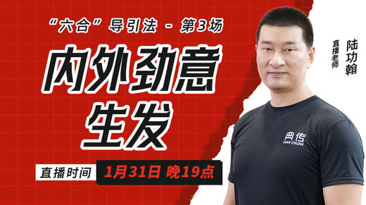 第三课：内外劲意生发（1月31日） 商品图0