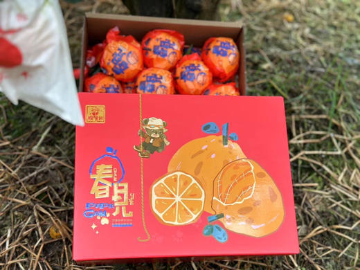 探秘熊🐻 🍊春见☘️耙耙柑
口感爆棚
每一个都甜蜜四溢，果味浓郁
原生态果园，不打蜡！静品果！
坚持最初的味道❤ 商品图2