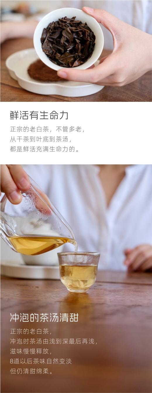2015老白茶  50g/袋*10袋 商品图1