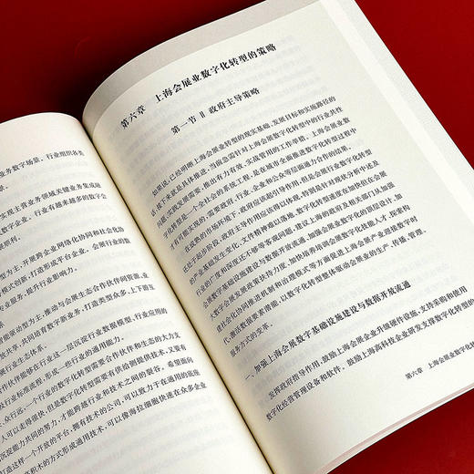 会展业的数字化转型 上海实践与思考 胡平 数字会展 商品图9