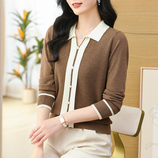 CC-103-7775    polo衫长袖上衣春装女2024年新款女士毛衣洋气漂亮针织打底衫 商品图1