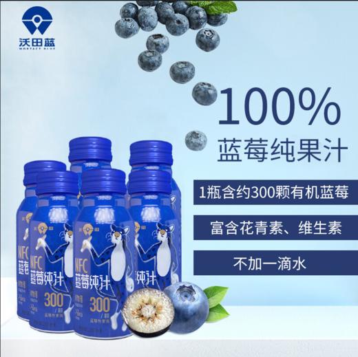 沃田NFC蓝莓纯汁200ml*10 商品图0