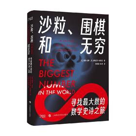 沙粒  围棋和无穷 戴维·达林等 著 科普读物