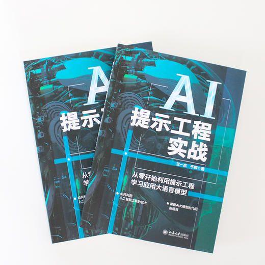 AI提示工程实战：从零开始利用提示工程学习应用大语言模型 兰一杰 于辉 著 北京大学出版社 商品图3