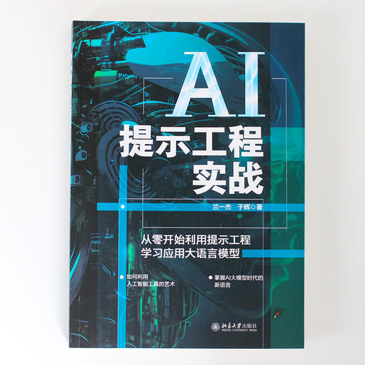 AI提示工程实战：从零开始利用提示工程学习应用大语言模型 兰一杰 于辉 著 北京大学出版社 商品图1