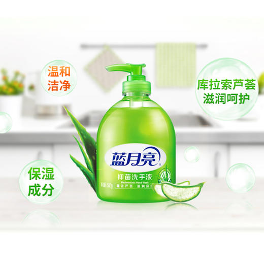 蓝月亮 芦荟抑菌洗手液 500g瓶+500g瓶补充装 商品图2