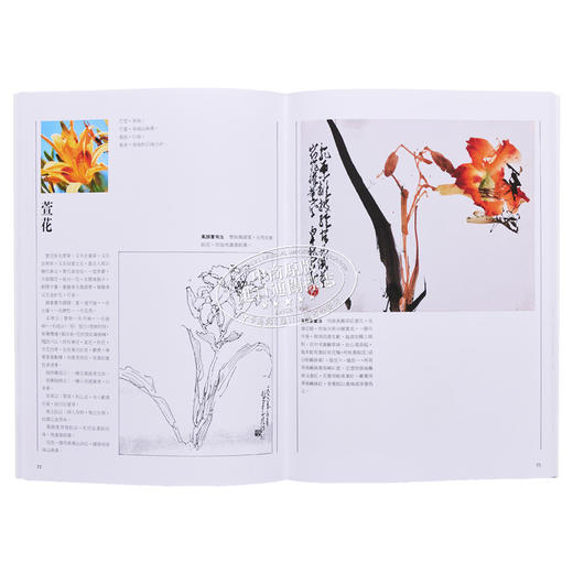 【中商原版】实用绘画学 港台艺术原版 赵少昂 艺术图书出版 商品图5