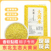 【东北大黄米新米】350g/包|天然黏糯绵软弹牙|黏粘米五谷杂粮米饭伴|糯粽子米糕 商品缩略图0