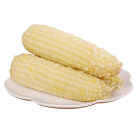 【东北外运】碧江雪玉 甜糯玉米 黑土地大苞米 200g*8根