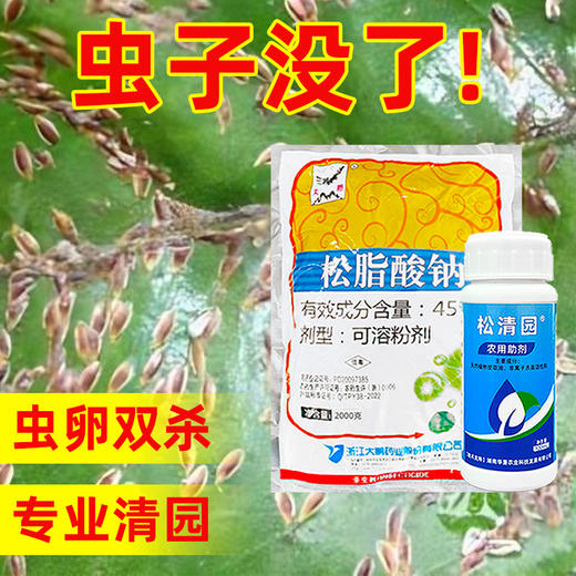 柑橘清园专用大鹏松脂酸钠松清园果树柑橘杨梅介壳虫矢尖蚧粉蚧 商品图1